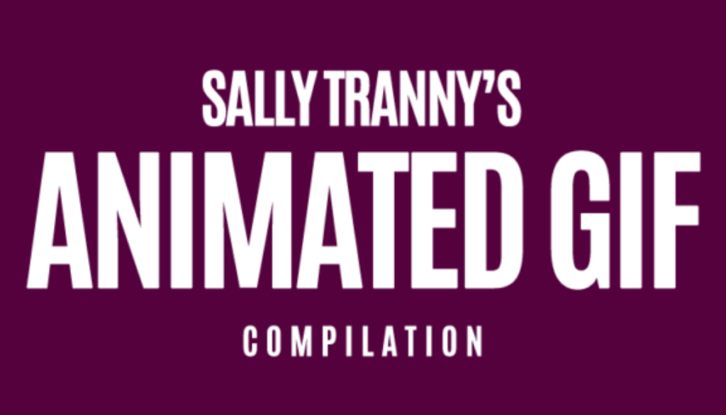 sally_tranny_animated_gif_compilations