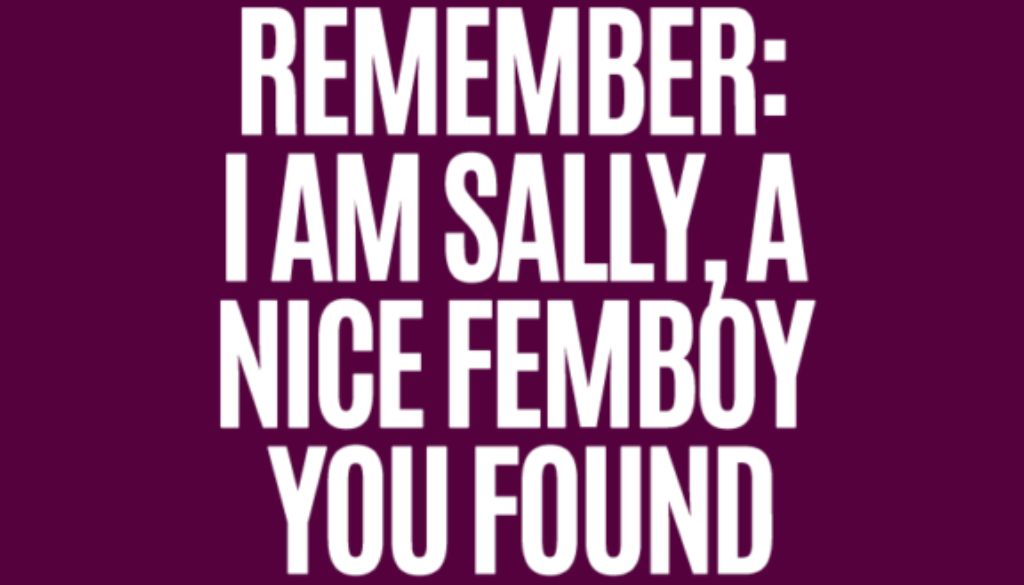 remember_i_am_sally_a_nice_femboy_you_found_me